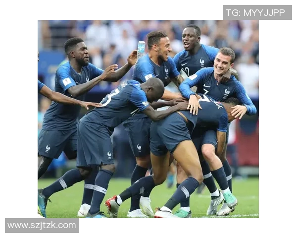 法国足球队队员的职业生涯与成就分析及其对国家队的影响